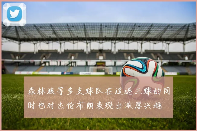 森林狼等多支球队在追逐三球的同时也对杰伦布朗表现出浓厚兴趣