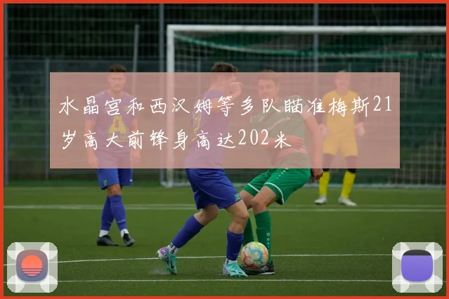 水晶宫和西汉姆等多队瞄准梅斯21岁高大前锋身高达202米